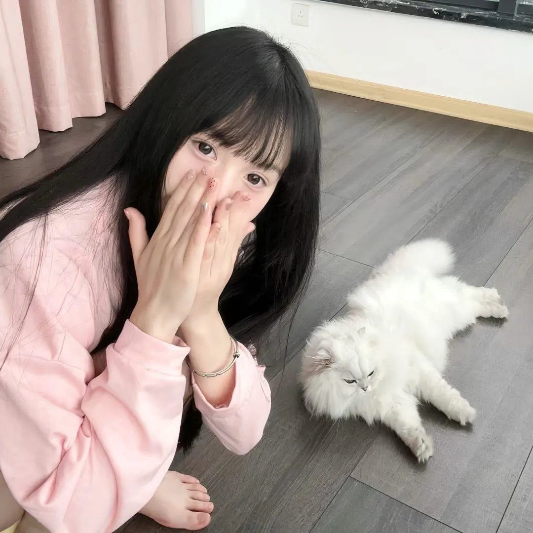 日韩热播